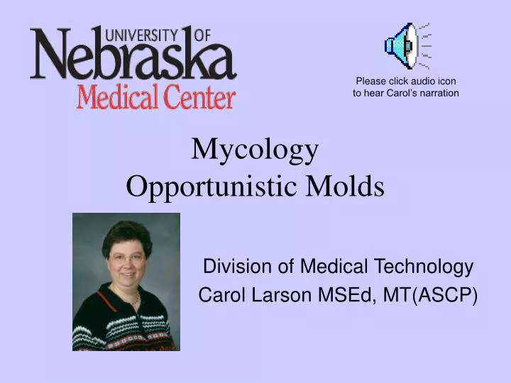mycology opportunistic molds