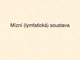 m zn lymfatick soustava