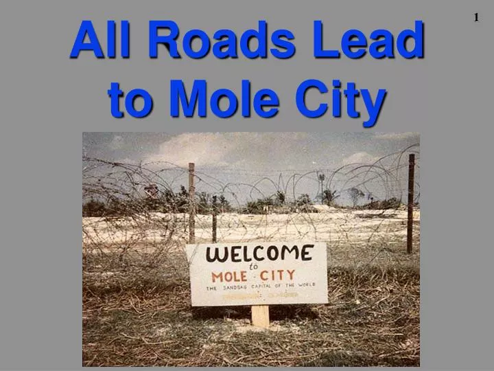 all roads lead to mole city