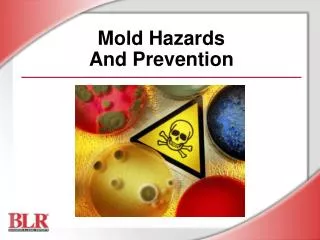 Mold Hazards And Prevention