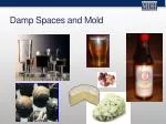 Understanding Mold: Health Risks, Causes, and Prevention Strategies - slide 1