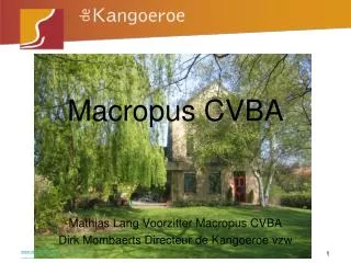 macropus cvba