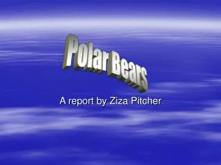 A report by Ziza Pitcher