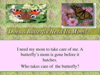 Does a Butterfly Need Its Mom?