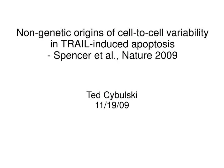 ted cybulski 11 19 09