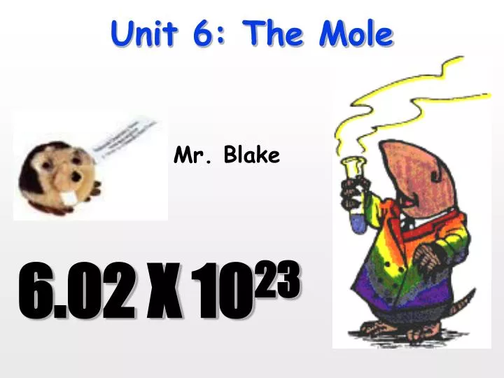 unit 6 the mole