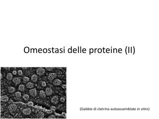 Omeostasi delle proteine (II)