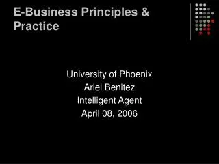 E-Business Principles &amp; Practice