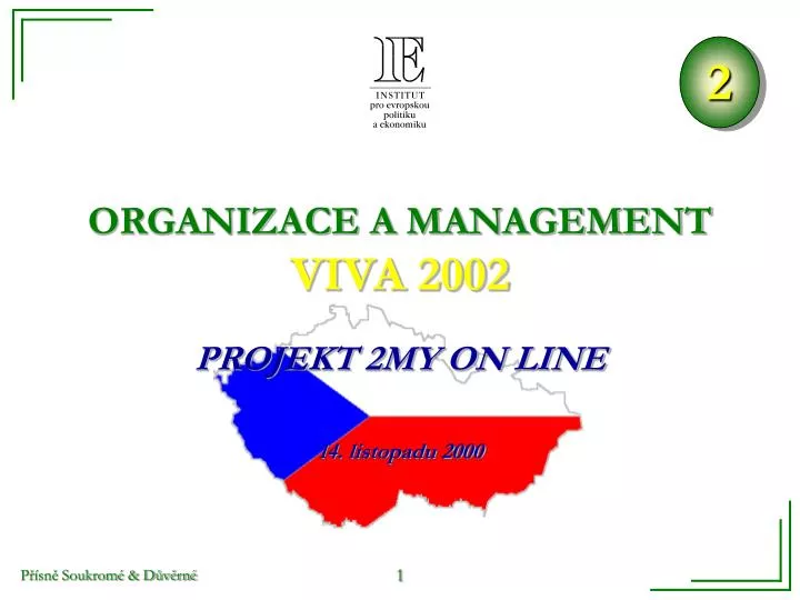 organizace a management viva 2002