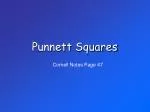 Punnett Squares - slide 1