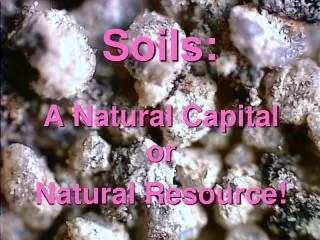 Soils: