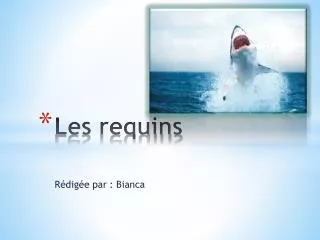 les requins