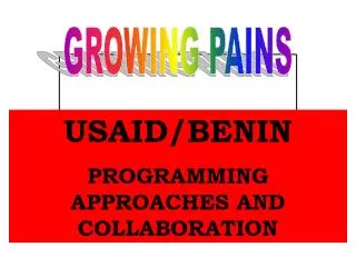 USAID/BENIN PROGRAMMING APPROACHES AND COLLABORATION