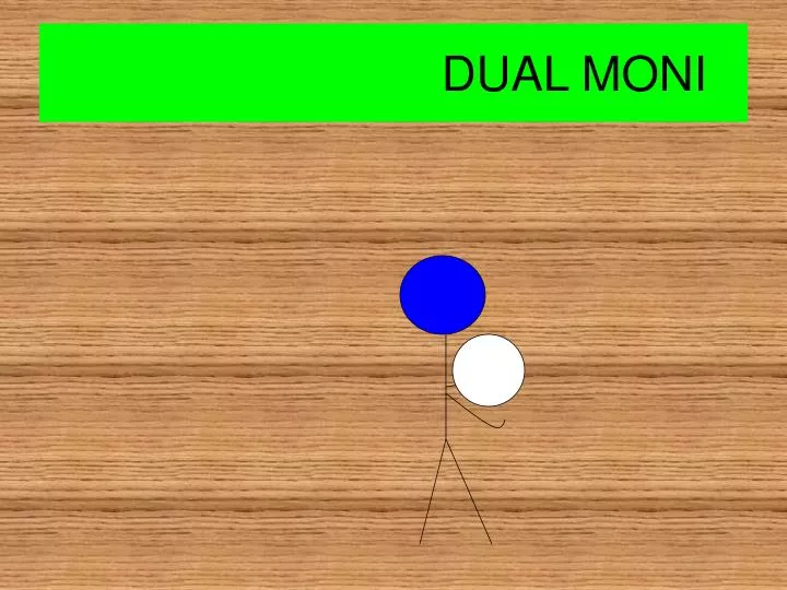 dual moni