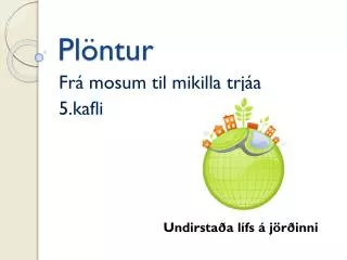 Plöntur