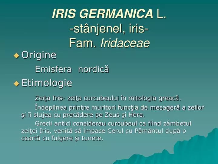 iris germanica l s t njenel iris fam iridaceae