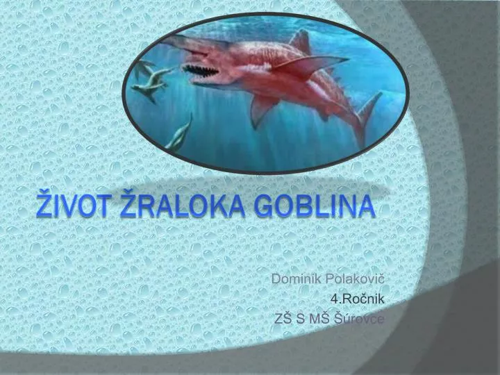 dominik polakovi 4 ro nik z s m rovce