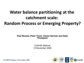 Water balance partitioning at the catchment scale: Random Process or Emerging Property?