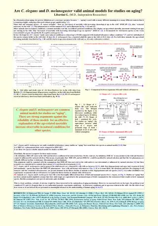 Are C. elegans and D. melanogaster valid animal models for studies on aging?