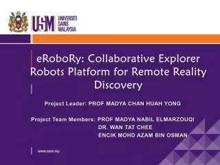 eRoboRy: Collaborative Explorer Robots Platform for Remote Reality Discovery