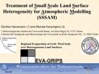 Treatment of S mall S cale Land S urface Heterogeneity for A tmospheric M odelling (SSSAM)