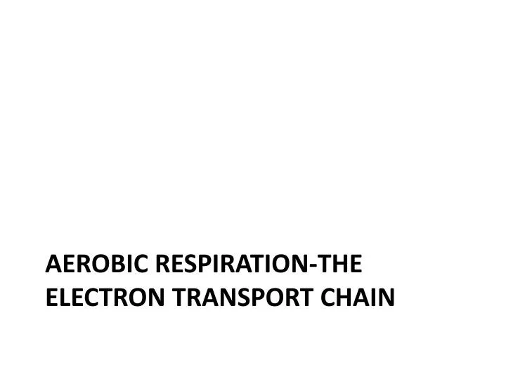 aerobic respiration the electron transport chain