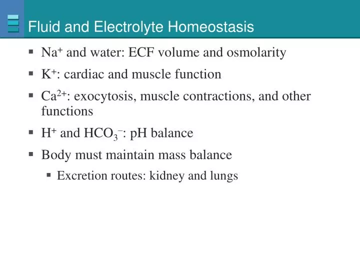 fluid and electrolyte homeostasis