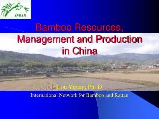 Bamboo Resources, Management and Production in China
