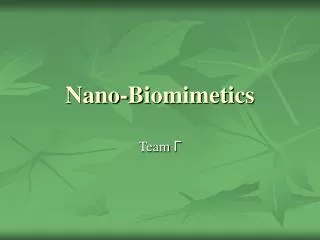 Nano-Biomimetics