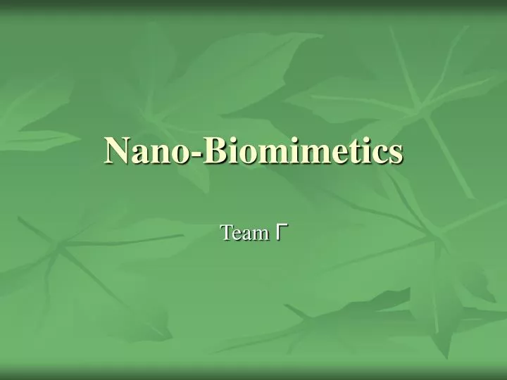 nano biomimetics
