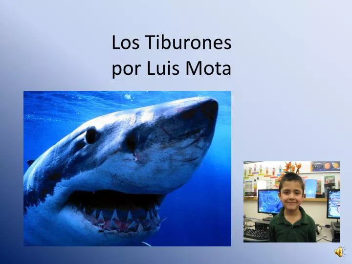 los tiburones por luis mota