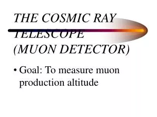 THE COSMIC RAY TELESCOPE (MUON DETECTOR)
