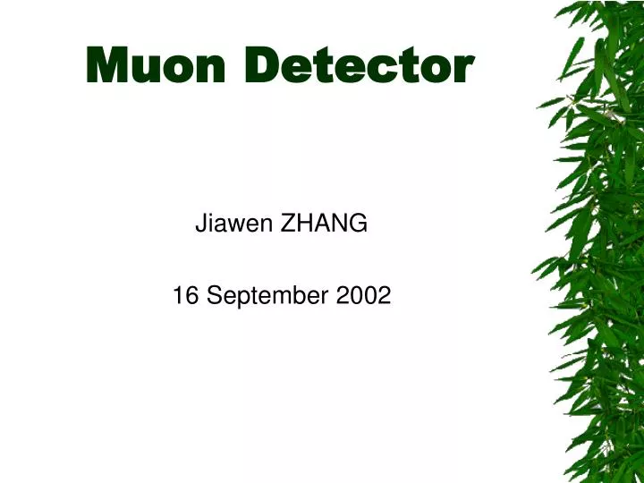 muon detector