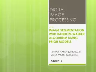 TOPIC IMAGE SEGMENTATION WITH RANDOM WALKER ALGORITHM USING PRIOR MODELS