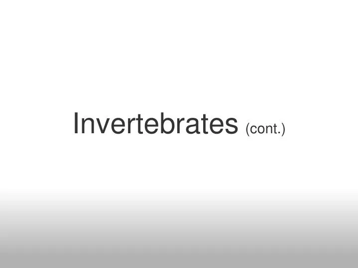 invertebrates cont