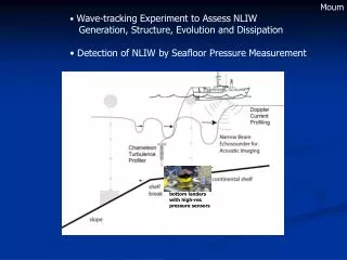 Wave-tracking Experiment to Assess NLIW Generation, Structure, Evolution and Dissipation
