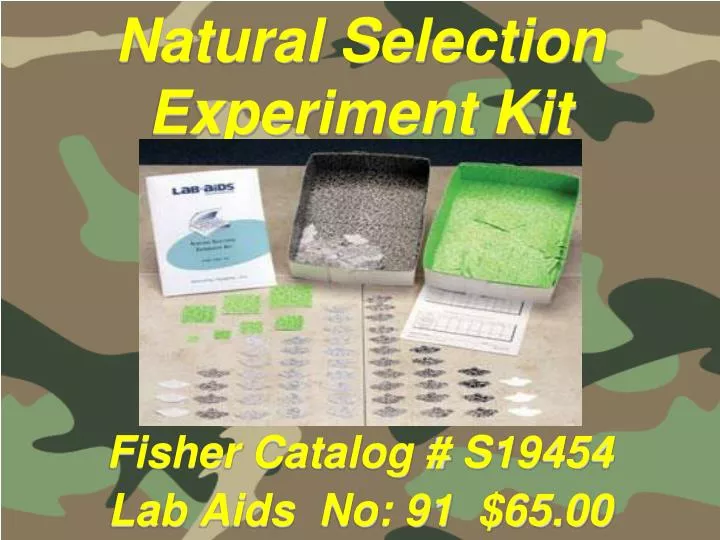 natural selection experiment kit