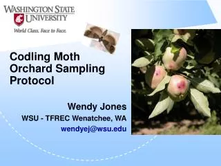 Codling Moth Orchard Sampling Protocol