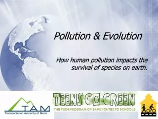 Pollution &amp; Evolution