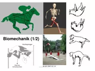 biomechanik 1 2