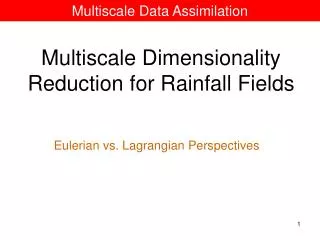 Multiscale Data Assimilation