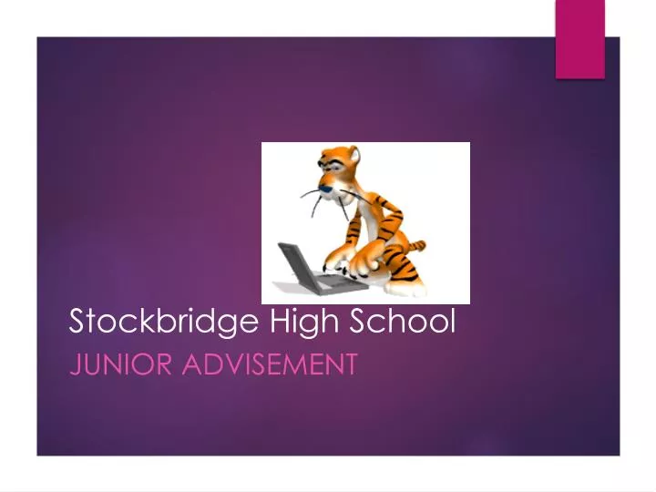 stockbridge high school