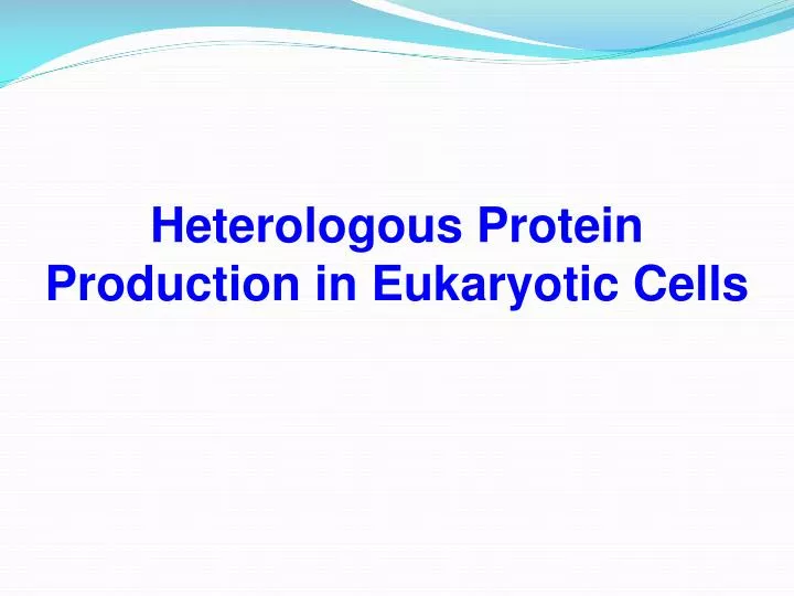 heterologous protein production in eukaryotic cells