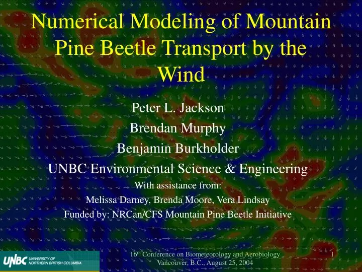 numerical modeling of mountain pine beetle transport by the wind