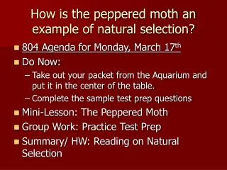 How is the peppered moth an example of natural selection?