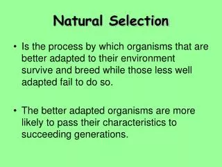 natural selection