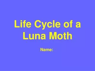 Life Cycle of a Luna Moth