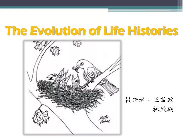 the evolution of life histories