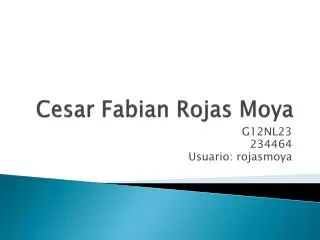 cesar fabian rojas moya