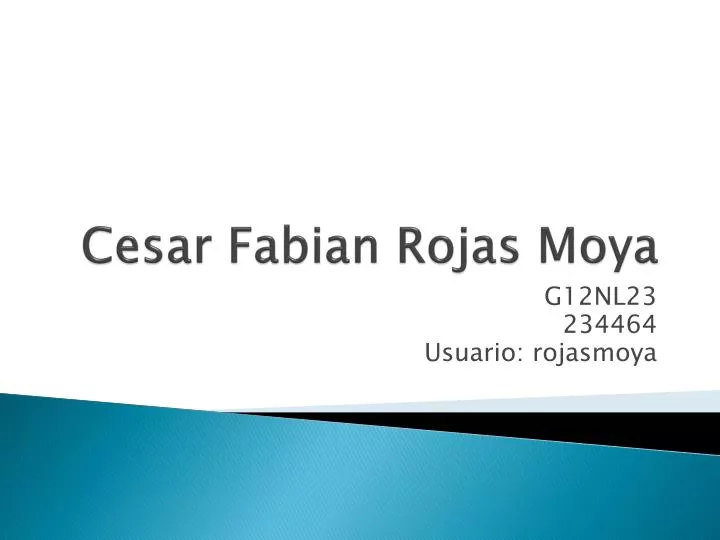 cesar fabian rojas moya